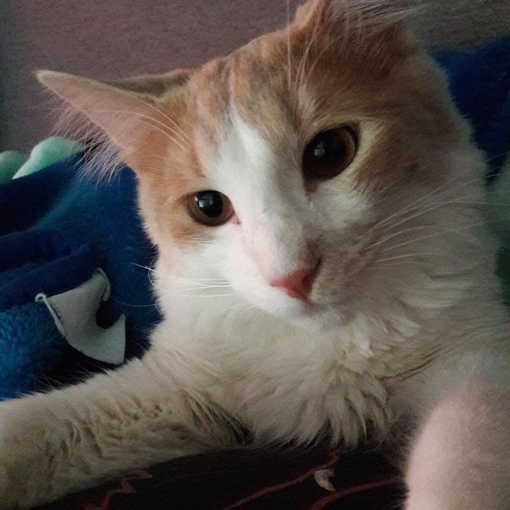 Meet your Posher, Joe and Erika